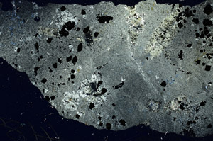 Cross Polarized, S88151