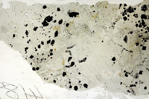 Plane Polarized, S88151