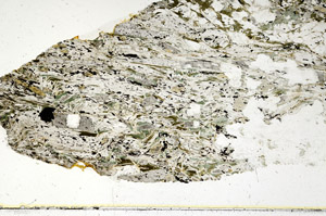 Plane Polarized, S88157
