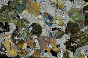 Cross Polarized, S88159