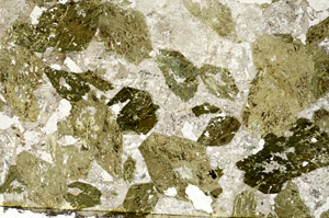 Plane Polarized, S88159
