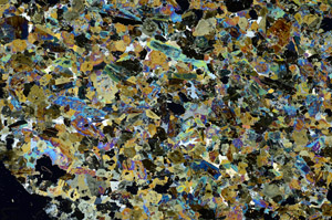 Cross Polarized, S88160