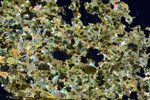 Cross Polarized, S88164