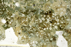 Plane Polarized, S88166