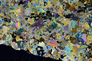 Cross Polarized, S88167
