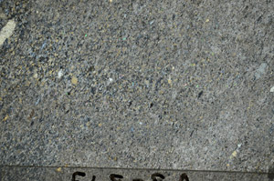 Cross Polarized, S88171