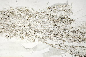 Plane Polarized, S88174