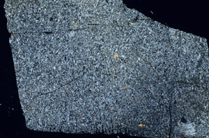 Cross Polarized, S88176
