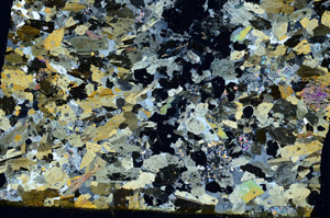 Cross Polarized, S88184