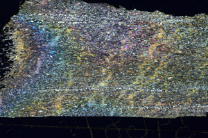 Cross Polarized, S88192