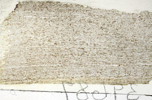 Plane Polarized, S88192