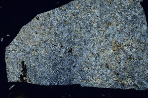 Cross Polarized, S88193