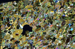 Cross Polarized, S88202