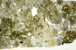 Plane Polarized, S88206