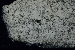 Cross Polarized, S88207