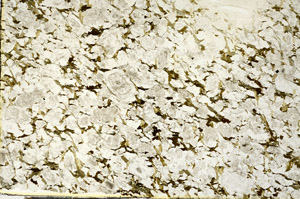 Plane Polarized, S88209