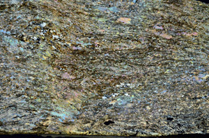 Cross Polarized, S88210
