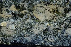 Cross Polarized, S88213