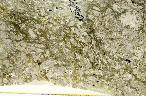 Plane Polarized, S88214