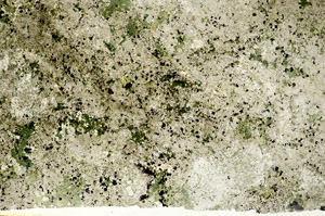 Plane Polarized, S88215