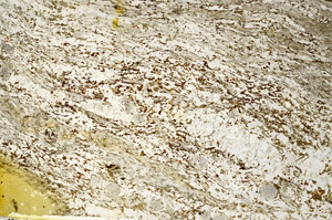 Plane Polarized, S88220