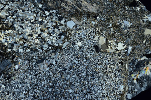Cross Polarized, S88222