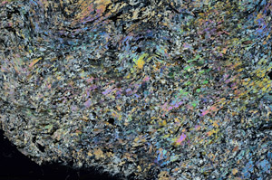 Cross Polarized, S88223