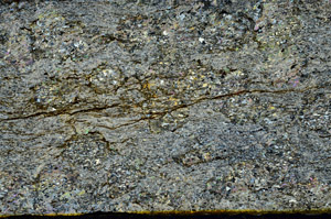 Cross Polarized, S88224