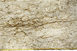 Plane Polarized, S88224