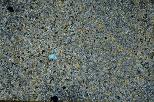 Cross Polarized, S88226