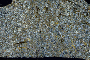 Cross Polarized, S88228