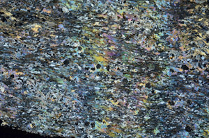 Cross Polarized, S88229