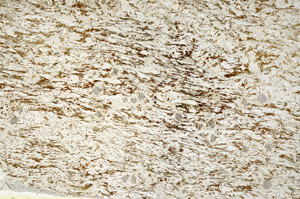 Plane Polarized, S88229