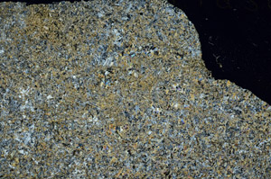Cross Polarized, S88233