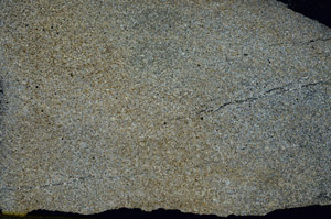 Cross Polarized, S88237