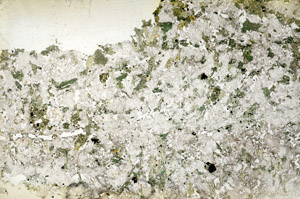 Plane Polarized, S88243