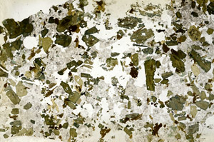 Plane Polarized, S88244