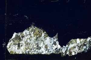 Cross Polarized, S88245