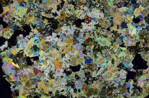 Cross Polarized, S88246