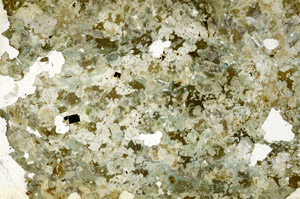Plane Polarized, S88246