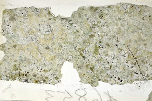 Plane Polarized, S88247