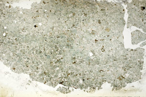 Plane Polarized, S88253