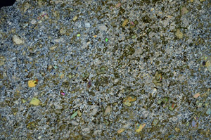 Cross Polarized, S88255