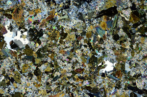 Cross Polarized, S88257