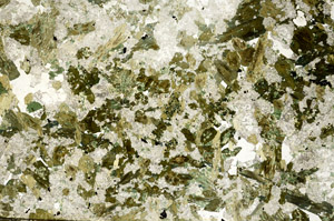 Plane Polarized, S88257