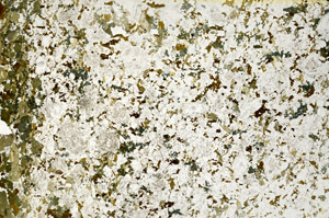 Plane Polarized, S88258