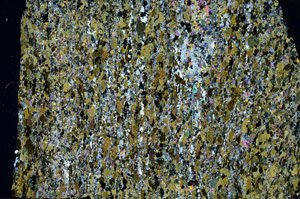 Cross Polarized, S88261