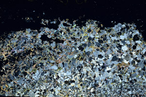 Cross Polarized, S88262