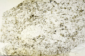 Plane Polarized, S88267
