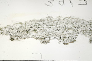 Plane Polarized, S88269